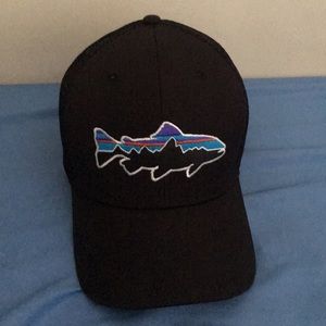Men’s Patagonia hat (NWOT)